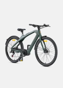 BUY Engwe N1 Pro Carbon UK